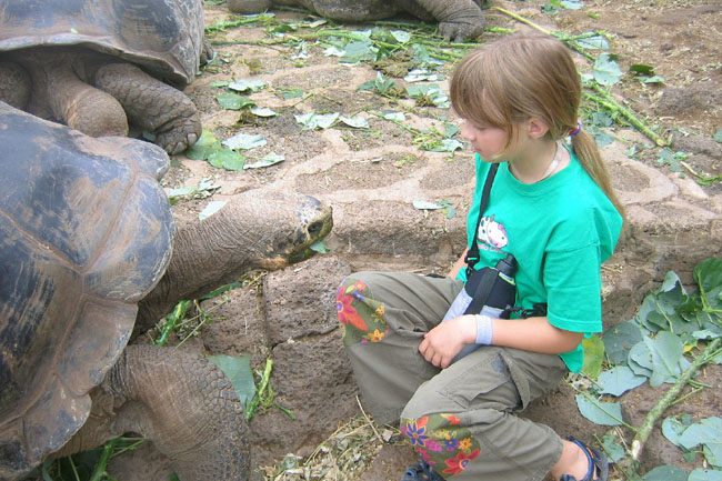 20070801a_S_SantaCruz_Tortoise