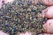 20070803b_FloreanaPuntaCormoran_OlivineSand