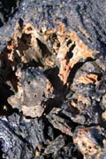 20070804e_IsabelaPuntaMoreno_RustyLava