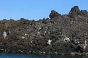 20070804v_IsabelaElizabethBay_SharpAaLava