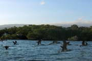 20070804zc_Isabela_BoobiesFlying