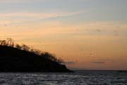 20070804zg_Isabela_BoobiesSunset