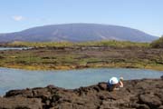 20070805q_S_FernandinaPuntaEspinosa_TidePools