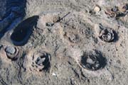 20070806g_JamesPuertoEgas_LavaBubbles