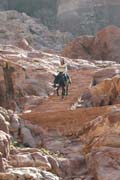 20110102s_PetraDonkeySteps
