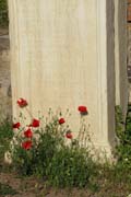 20120603zg_RomanForumVestalPoppies
